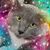 Renée Nelson's profile image