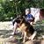 Murray Margolis's profile image