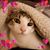 Sherry Grommes's profile image