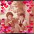 Cindi K-Harbottle's profile image