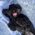 John S. Tolli's profile image
