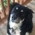 Rhonda McPeek Steinhagen's profile image