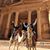 Kathy Meier's profile image