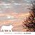 Dawn Dancey's profile image
