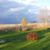 Patricia Eckert's profile image
