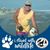 Steve Willard's profile image