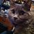 Rebecca Ryerson's profile image