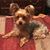 Lori Elizabeth's profile image