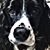 Sharon Donnelly's profile image