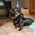 Cindy Lees's profile image