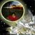 Norma Aguirre's profile image