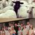 Darren Suderman's profile image