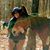 Connie Nicholson-Price's profile image