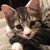 Pranee Cyr Powers's profile image