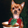 Lanny C.'s profile image