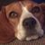Dawn Rodgerson Johnson's profile image