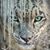 C Wendy Johnson's profile image