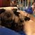 Dyanne Edmondson Wallace's profile image