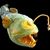 Jayme VanMeter's profile image