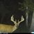 Tanner Simmons's profile image