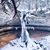 Rebekah Ann Springman's profile image