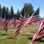 Cindy Harper McAtee's profile image