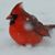 Cecile Sehn's profile image