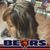 Jaye Tom's profile image