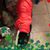 Cheryl Reed's profile image