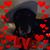 Islas Shauna's profile image