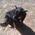 David Moder's profile image