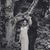 Tabby Collins's profile image