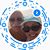 Valerie Hayes's profile image
