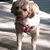 Bortner Shannon's profile image