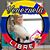 Neomir Gamboa's profile image