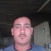 محمد ربيع's profile image