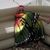 Teresa Mabee's profile image