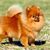 Marvin Joseph Coleman Novoa's profile image