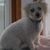 Kathy Zielinski's profile image