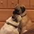 Sonja Bocklage's profile image