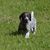 Beth DeVries's profile image