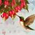 Kaye Alexander's profile image