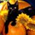Jackie Strahle Tindall's profile image