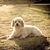 Navia Garnica Charlitte's profile image