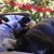 Lori Johnson Schultz's profile image