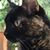 Julie Page's profile image