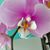 Mary Hayden's profile image