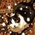 Renee DuBois's profile image