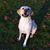 Debra Horvath's profile image