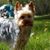 Jim Goodrow's profile image